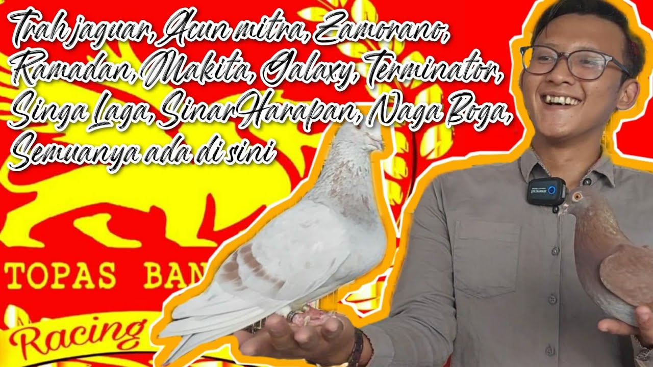 Indukan Ring Topas Warnanya Unik-unik