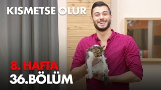 Kısmetse Olur 8. Hafta 36. Bölüm - Full Bölüm