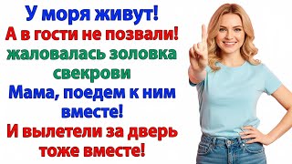 картинка: ЗОЛОВКА И СВЕКРОВЬ ПРИЕХАЛИ, ЧТОБЫ ОСТАТЬСЯ. НО Я ВЫШВЫРНУЛА ОБОИХ!