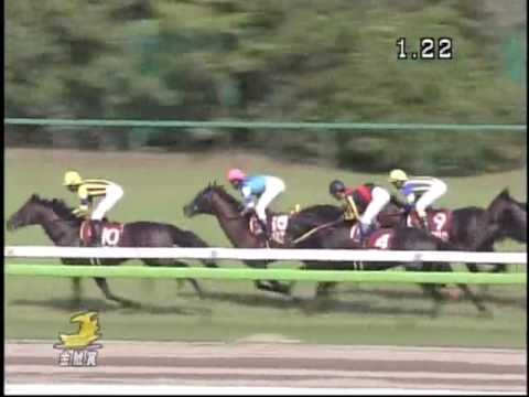 2009年 第45回 金鯱賞(ＧＩＩ) サクラメガワンダー