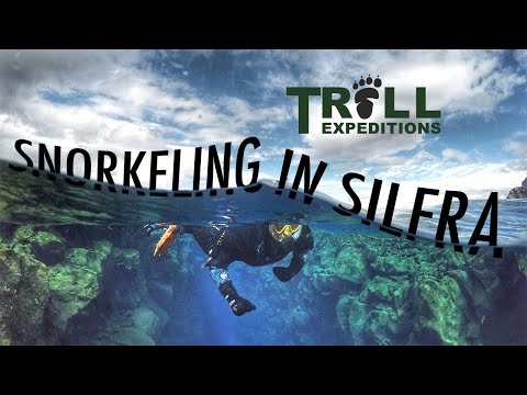 Snorkeling in Sifra