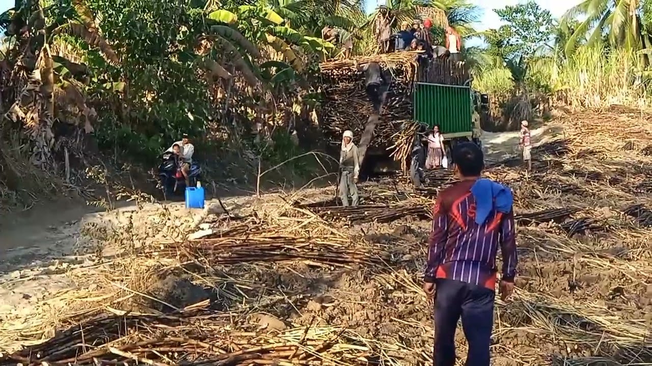 " A TEN WHEELER TRUCK CARRYING 23 TONS OF SUGAR CANE TO SUGAR   MELLING FACTORY "