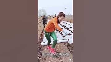 Manual Machine for Laying Plastic Mulch on Farmland