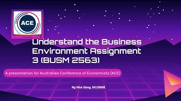 Understanding the Business Environment Assestment 3 Presentation