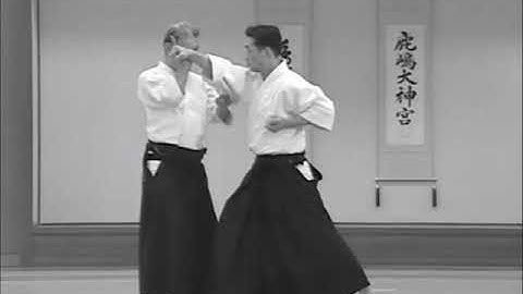 Nishio Aikido Ryu  -  Shomenuchi Irimi furikaburi