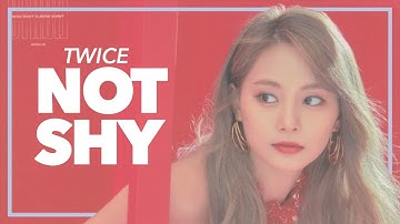 HOW WOULD TWICE SING "NOT SHY" | LINE DISTRIBUTION