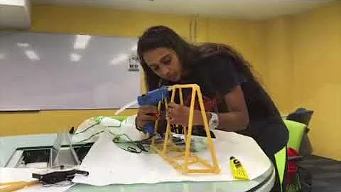 MECH270 SPAGHETTI BRIDGE PROJECT