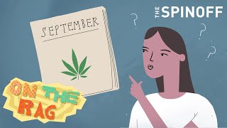 New Zealand’s cannabis referendum explained in 90 seconds | On the Rag: Weed | The Spinoff