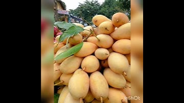 SURATU MUHAMMAD (S.A.W.) سورة محمد