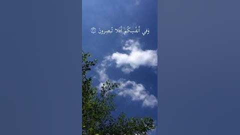 #سورة الذاريات(وَفِي الْأَرْضِ آَيَاتٌ لِلْمُوقِنِينَ (20) وَفِي أَنْفُسِكُمْ أَفَلَا تُبْصِرُونَ)