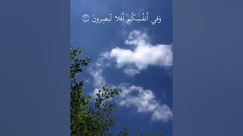 #سورة الذاريات(وَفِي الْأَرْضِ آَيَاتٌ لِلْمُوقِنِينَ (20) وَفِي أَنْفُسِكُمْ أَفَلَا تُبْصِرُونَ)