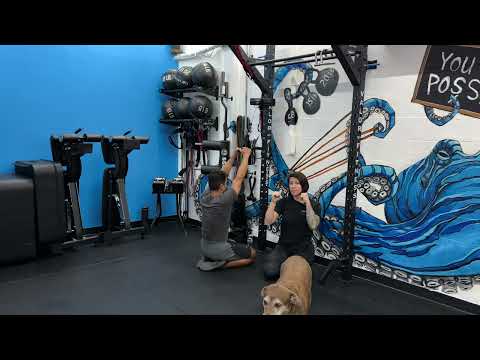 Low Kneeling Double Arm Cable Pulldown