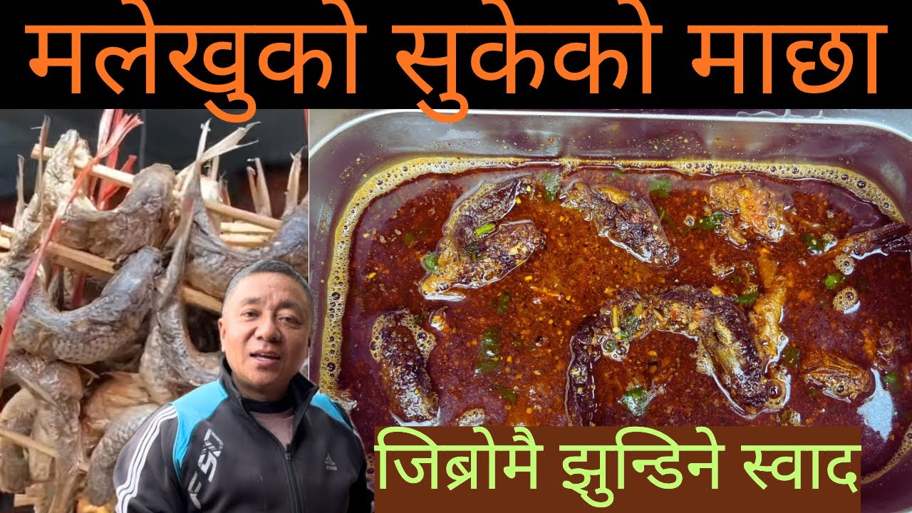 मलेखुको सुकेको माछाको झोल // Dry fish Curry recipe