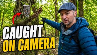 We Left a Camera Watching These Woods… Here’s What It Caught