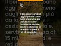 Gli stipendi alti non bastano più: ecco cosa rende davvero vivibile una città