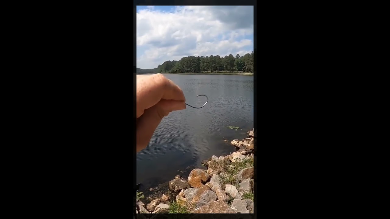 BEST Way To Hook A Live Minnow For Bait Shorts