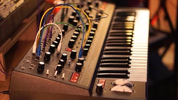 Moog Matriarch // 5 Ambient Patches [no talking]