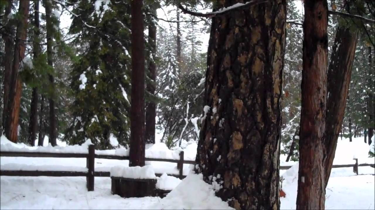 Twain Harte Snow February 2011 YouTube