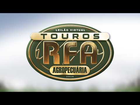LOTE 14