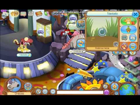 Animal Jam: Glitch da Galeria Sol reggaeton nedir