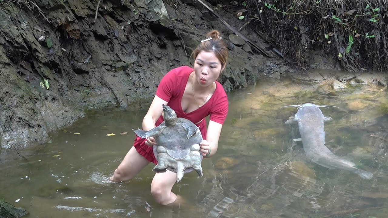Fishing Technology - How to Catch Fish in the Wild, Catch Lots of Fish ...