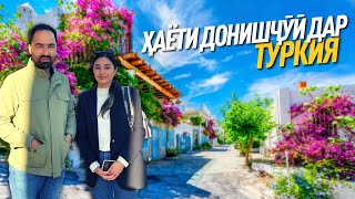 Туркия: донишҷӯён чанд пул харҷ мекунанд?