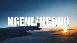 NGENE/NGONO