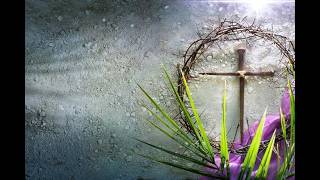 Palm Sunday of the Lord's Passion // 5:30 PM- Vigil Mass // 03.28.26