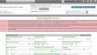 OASIS Audits/Validations - SEMR