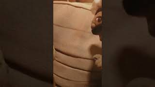 Junior and chef pee pee forever#sml #supermariobros #supermario