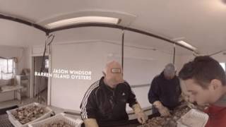 Oyster Aquaculture