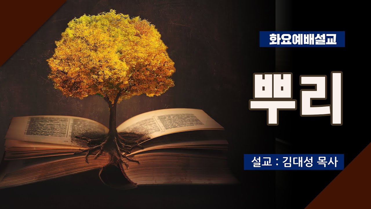 [화요설교] 뿌리 | 김대성 목사