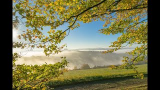 Download Lagu Audio Post Production: Adding Audio Depth to a Film With Background Ambience / SFX MP3