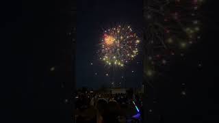 The Treetech fireworks New Zealand 🎉 Wealth