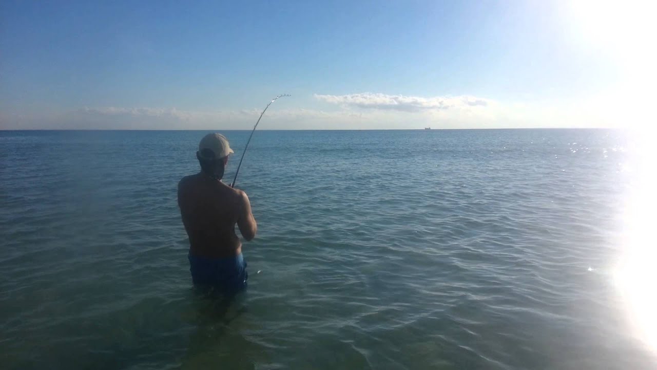Kristjan getting worked by a 100# tarpon