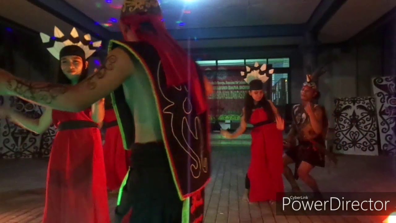Keren Tari Burung Ruai Dayak Kalimantan Youtube