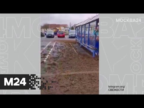 Сотни французских фермеров вывалили навоз в Тулузе. Новости мира - Москва 24