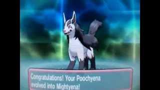 Pokemon Omega Ruby And Alpha Sapphire Poochyena evolve into Mightyena