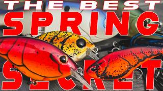 The #1 Secret To March Bass Fishing Success! screenshot 1