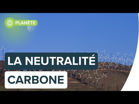 Neutralité carbone : qu€est-ce que c€est vraiment ? | Futura