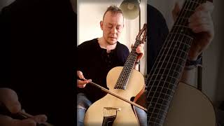 &quot;На заре ты её не буди&quot;, Sasha Luch (муз.А.Варламов, стихи А. Фет) #arpeggione