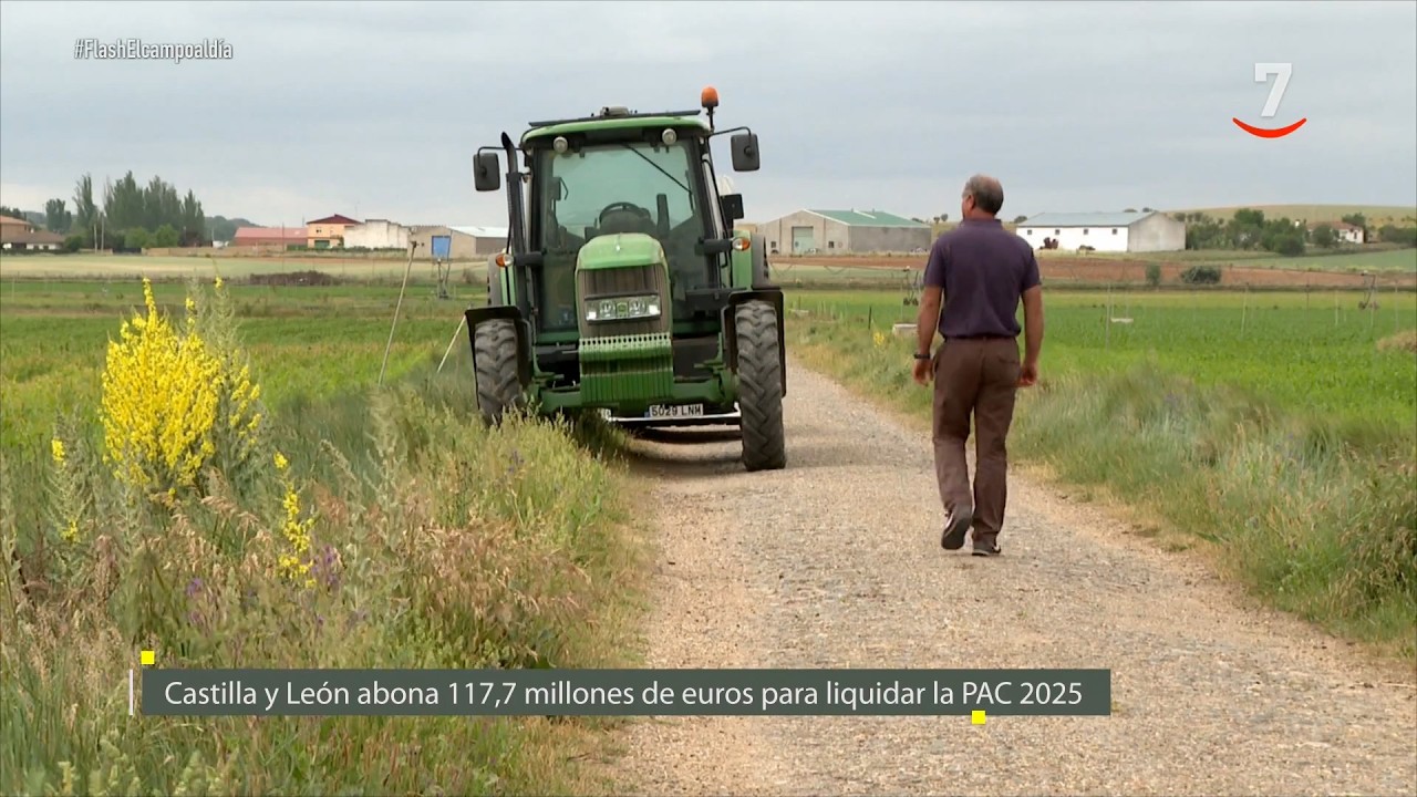 Flash El campo al día (29/06/2026): CyL abona 117,7 millones de euros para liquidar la PAC 2025