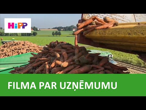 Video: Kā Uzglabāt Burkānus Mājās? Pareiza Uzglabāšana Dzīvoklī Un Mājā. Kur Labāk To Uzglabāt Ziemā?