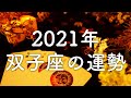 【2021年の運勢】双子座のあなたに起こること🌟怖いほど当たる😳💭💭恋愛・仕事・人間関係🌟タロット占い&オラクルカードリーディング🔮