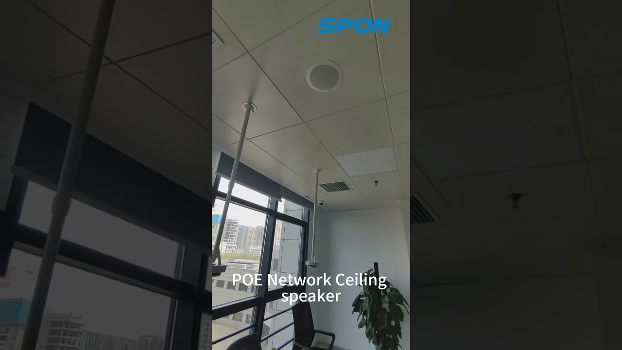 POE Network Ceiling Speaker