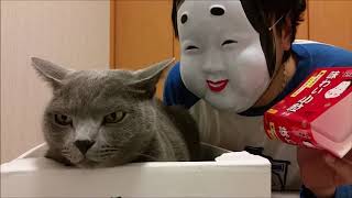 白い顔の変な奴が来たからガン無視した