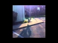Skateboarding Dork Curb Tricks #2 Yo