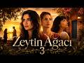 Another Self (Zeytin Ağacı 2026) - New Season in June