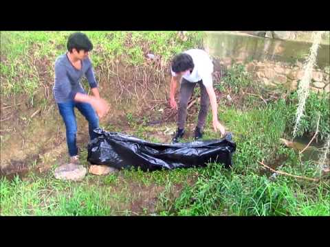 la muerte de romualda - YouTube