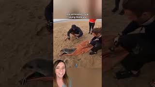 Watch Seal Thank You video